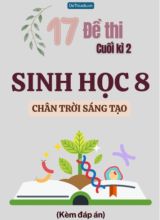 Tuyển tập 17 Đề thi cuối Kì 2 môn Sinh Học 8 sách Chân Trời Sáng Tạo (Kèm đáp án)